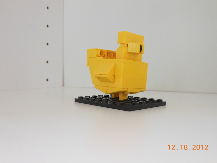duckling_3.jpg