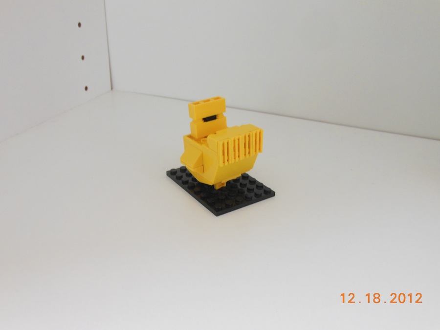 duckling_4.jpg