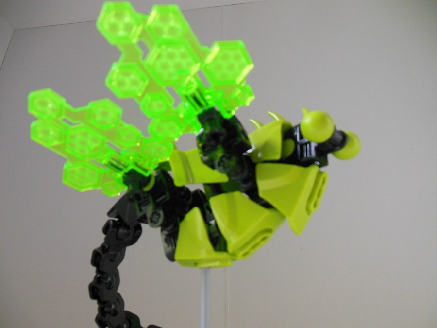 wasp_3.jpg