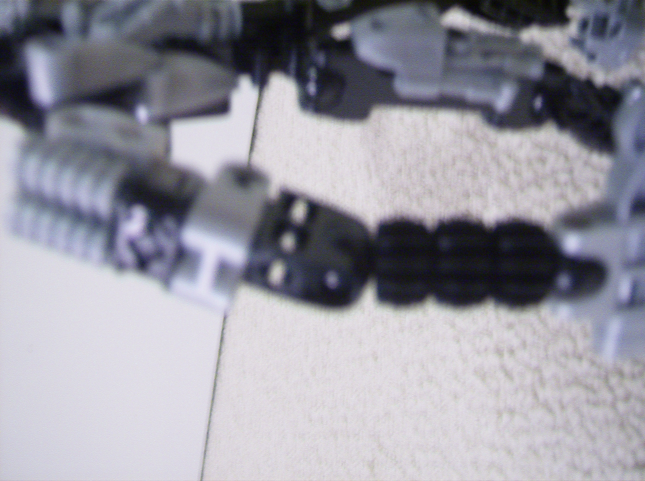 hpim6984.jpg