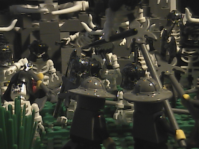 imga0856.jpg