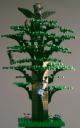2_worldtree_top.jpg