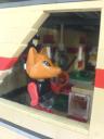 dsc00857.jpg