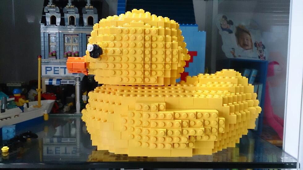 duck_13.jpg