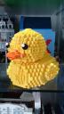duck_12.jpg