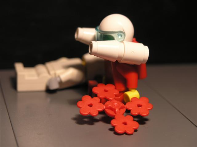 c23.jpg