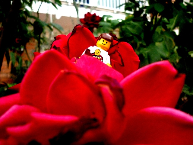p1010428.jpg