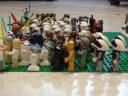 dsc00234.jpg