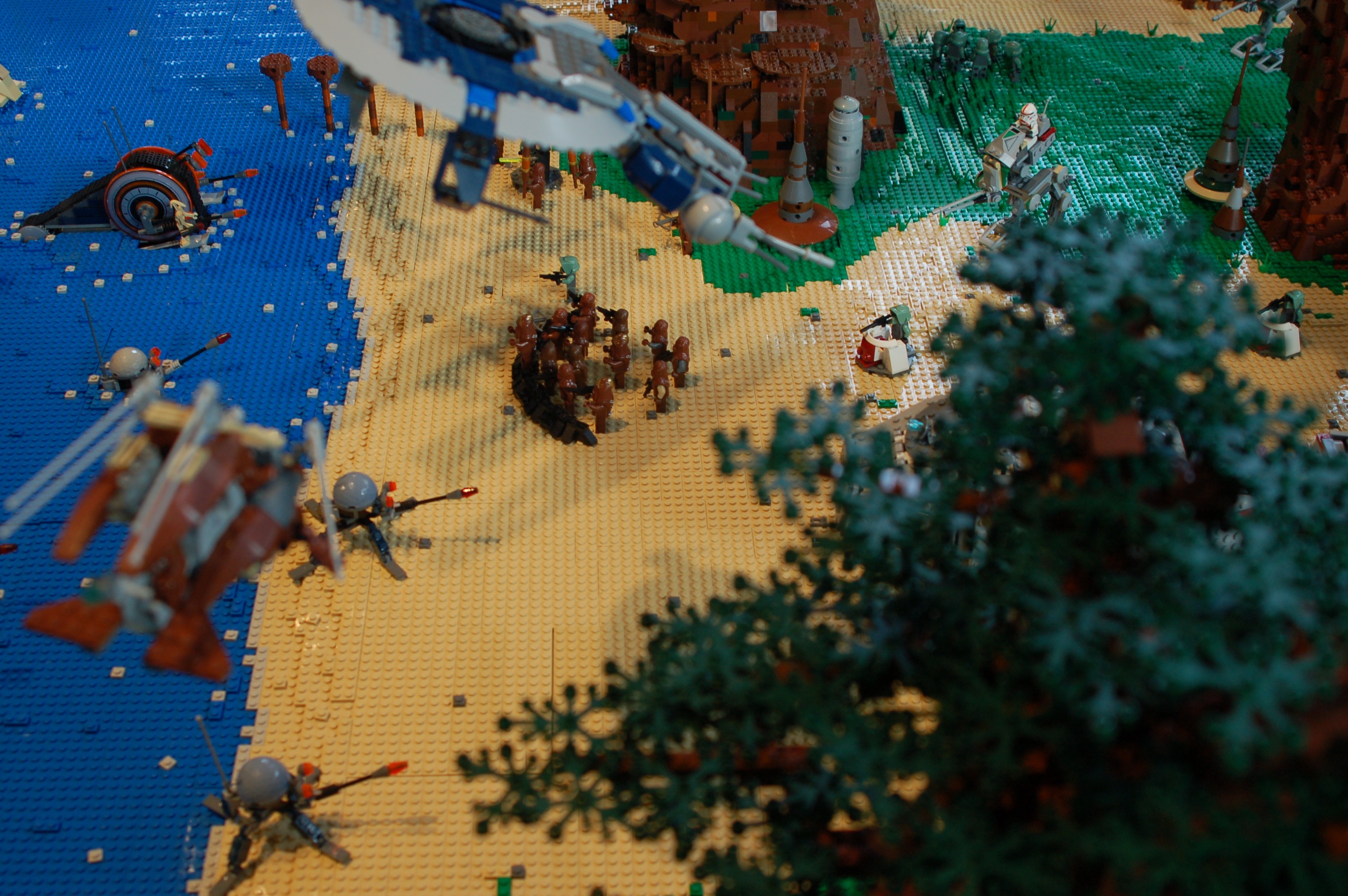 dsc_0063.jpg