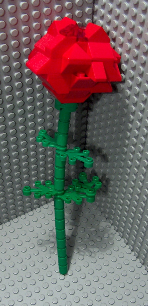 rose4nanna1.jpg