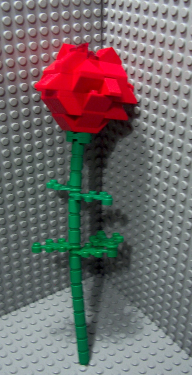 rose4nanna2.jpg
