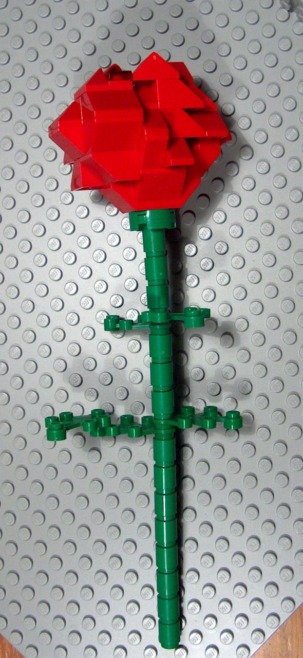 rose4nanna4.jpg