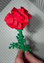rose4nanna3.jpg