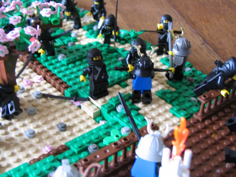 img_2362.jpg