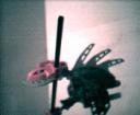cap0225.gif