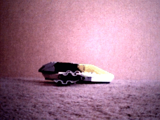 cap0370.gif