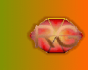 racingguildsig.gif