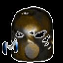 hauinf.gif