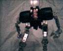 cap0265.gif