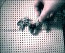 clip5.gif