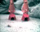 feet1.png