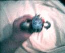 Scohu3