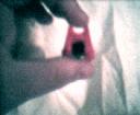 img5.gif