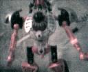 cap0244.gif