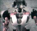 cap0245.gif