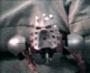 cap0246.gif
