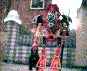 tahu2.gif