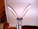 pict0054.jpg