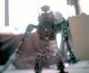 vakamashowoff.gif