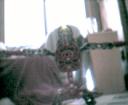 vakamashowoff3.gif