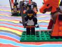 dsc00173.jpg