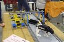 p9101274moc_huib.jpg