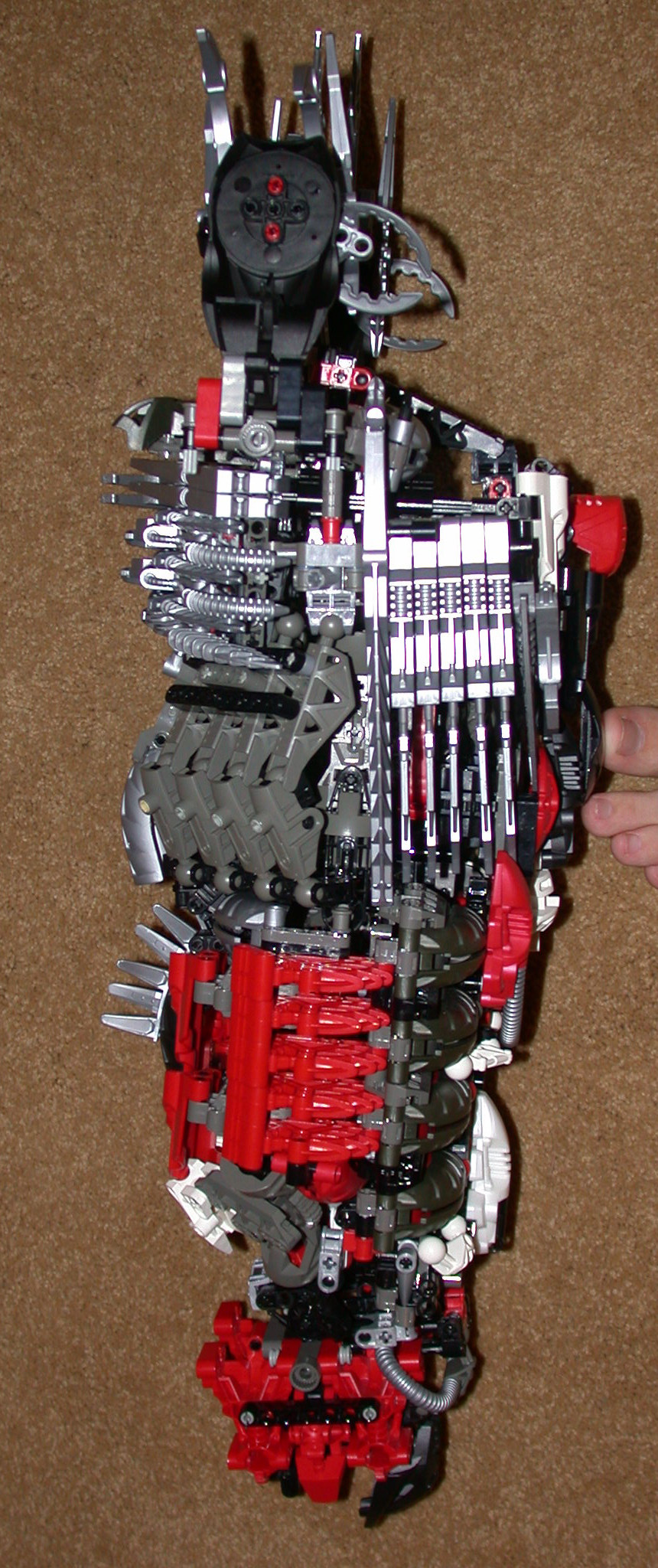detaileideanntorsoside.jpg