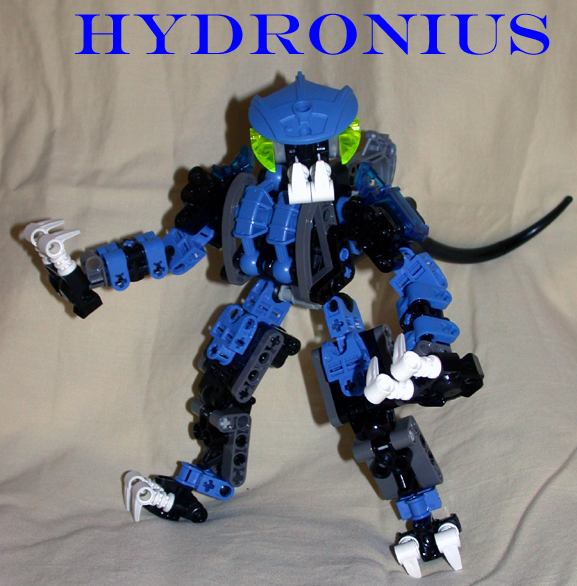 1hydroniussmall.jpg