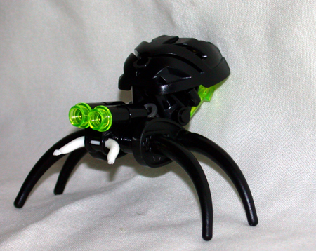 spider1.jpg
