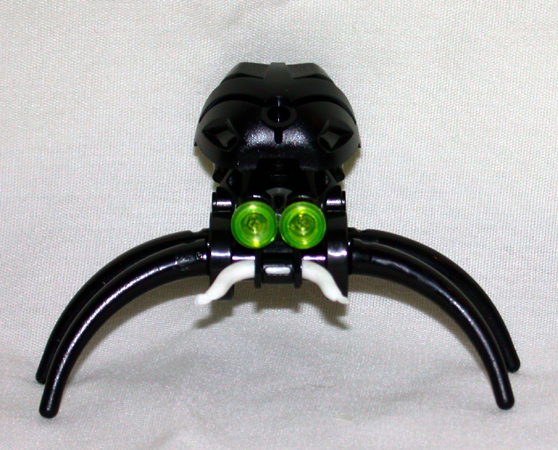 spider2.jpg
