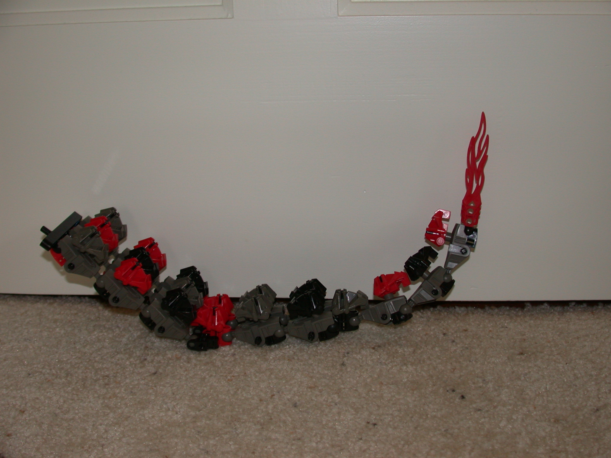 flametail.jpg