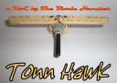 tonn_hawk.jpg