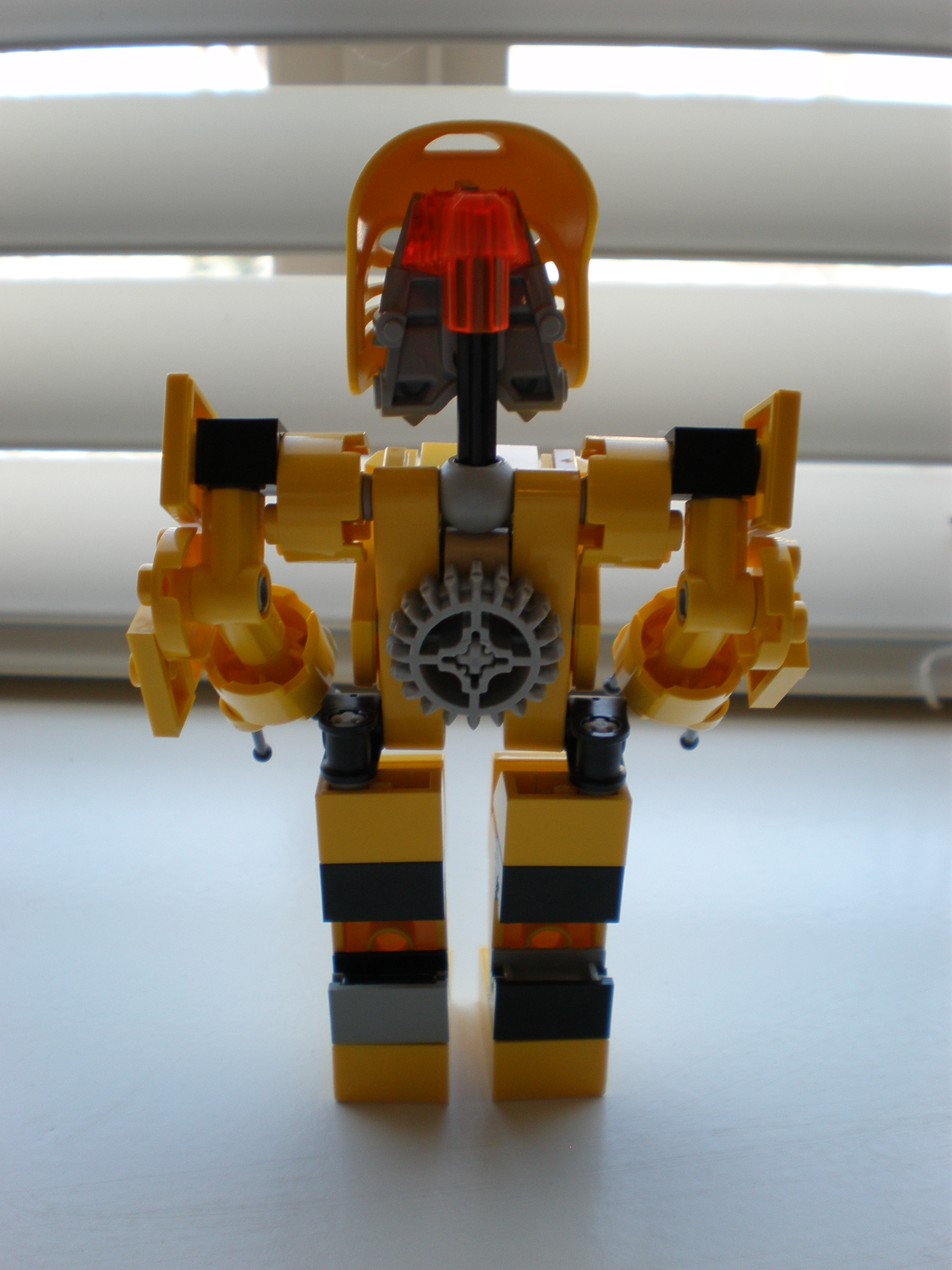 back.jpg
