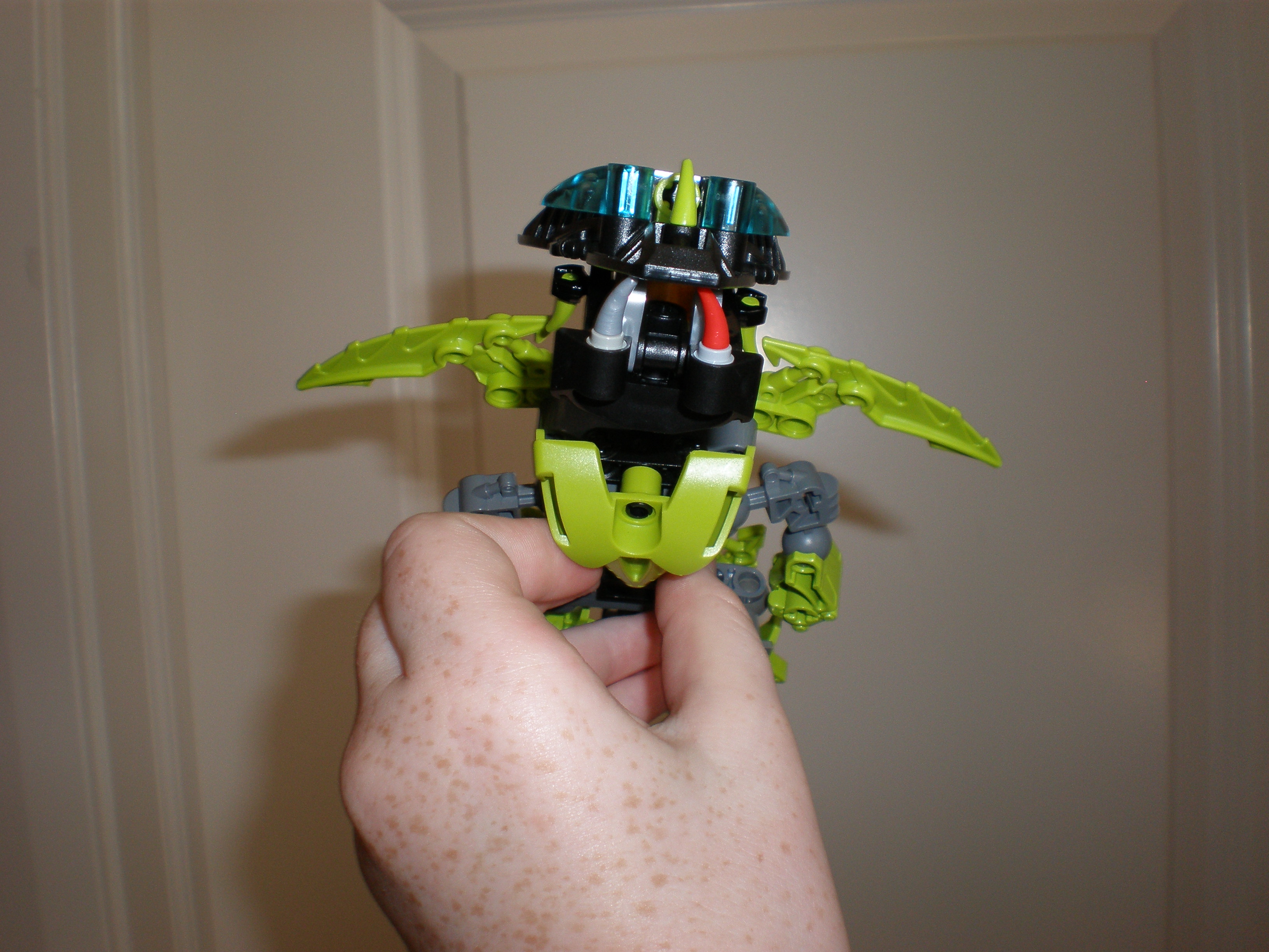 flying_2.jpg