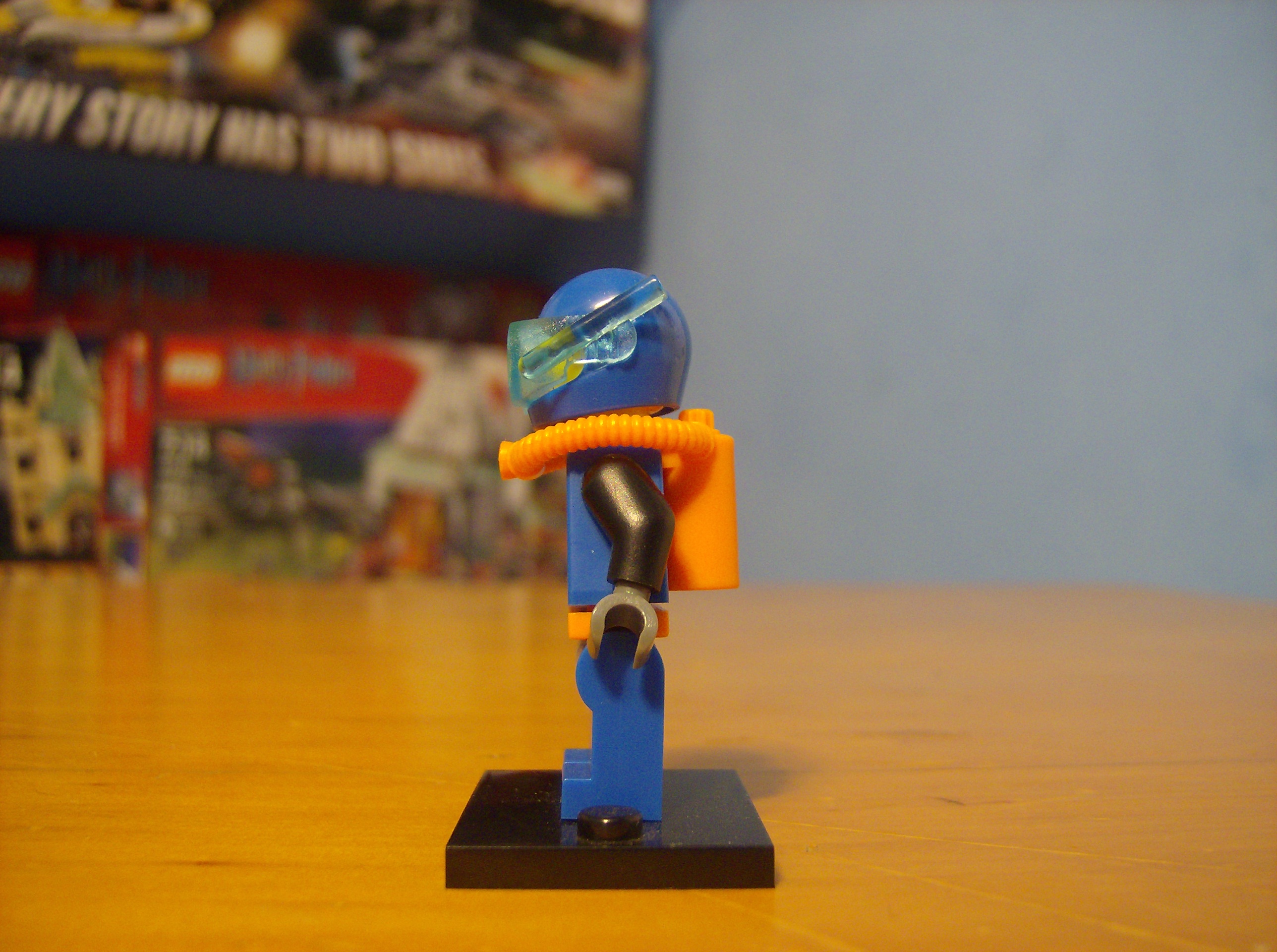 picture_499.jpg
