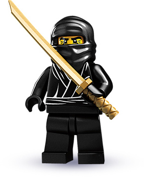 ninja.jpg