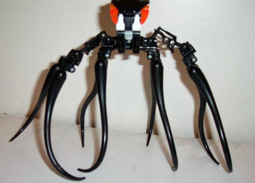 bohroktipus1.jpg