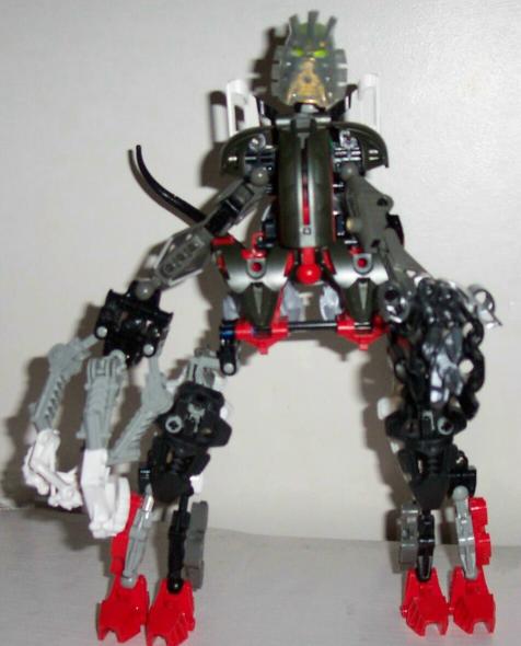 rex.jpg