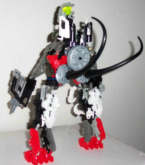 rexbackside.jpg