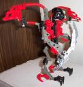 raptor3.jpg
